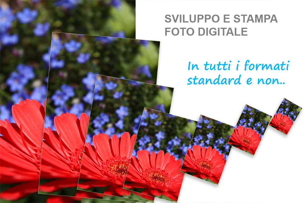 stampa foto